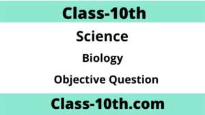 Read more about the article Class 10th Biology Objective Chapter 3 (विज्ञान)